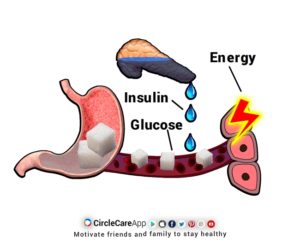 What happens to your body when you have diabetes? | CircleCare