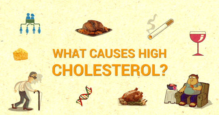 Types Of Cholesterol Hdl Ldl And Triglycerides Circlecare 7489