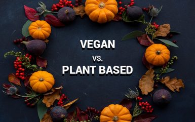 Are plant-based and vegan the same?