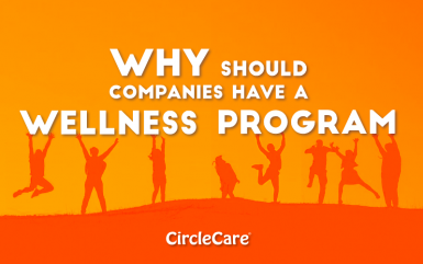 Why should companies have a wellness program?